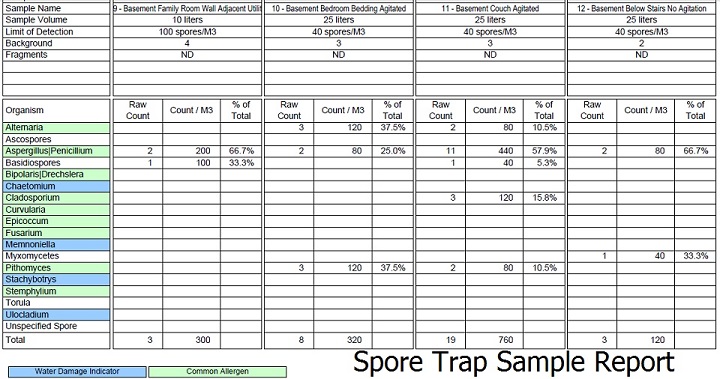Spore Trap Sample Report
